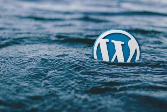 WordPress Website बनाने में कितना खर्चा पड़ता है