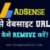 Google AdSense Account Se Website URL Remove Kaise Kare