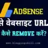 Google AdSense Account Se Website URL Remove Kaise Kare