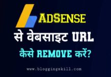 Google AdSense Account Se Website URL Remove Kaise Kare