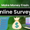 How to earn money from online surveys in India 2025