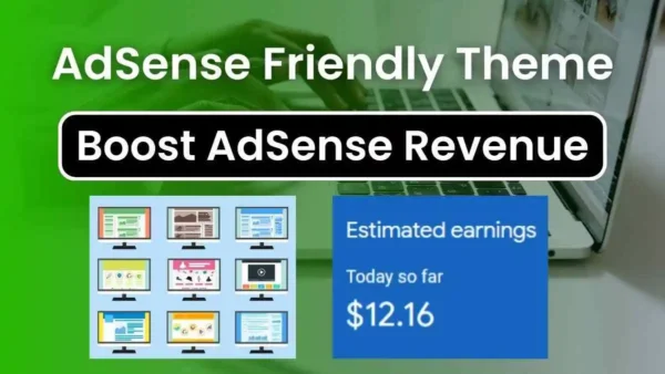 Increase AdSense Earning With Best AdSense Friendly WordPress Theme