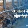 Pashupalan Loan Yojana 2023 पशुपालन के लिए लोन कैसे लें