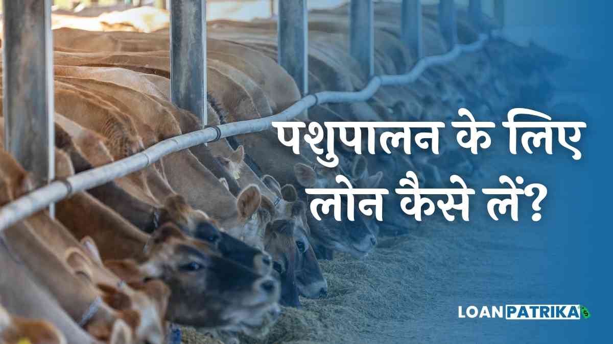 Pashupalan Loan Yojana 2023: पशुपालन के लिए लोन कैसे लें?