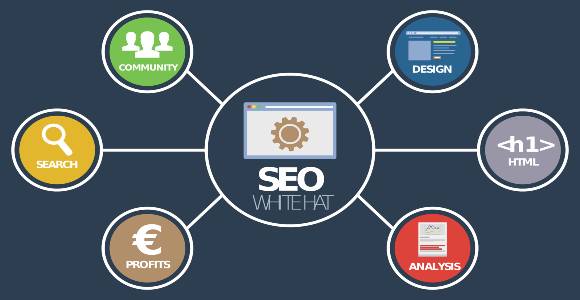 What is Seo in Hindi-Seo क्या है